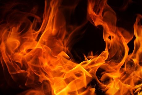 _S u n n y_ pornstar free images