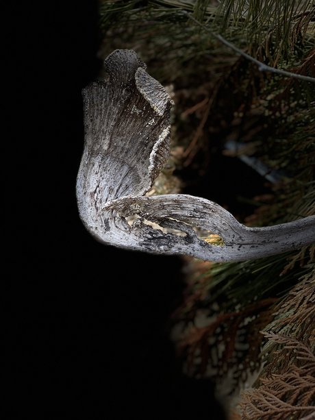 u9925087 xxx actress pics