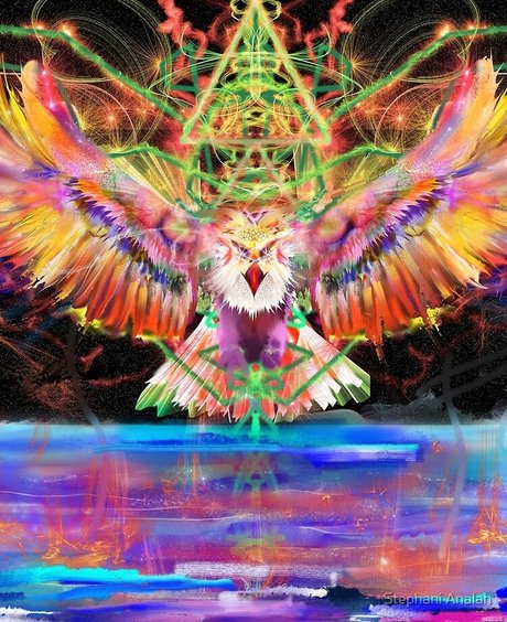 The Trippie Hippie top model photos