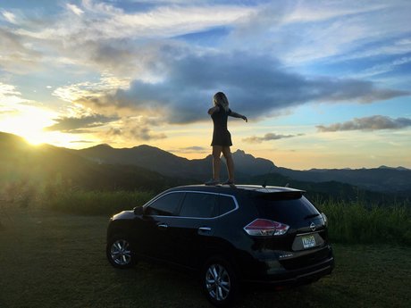 Stelly model free gallery