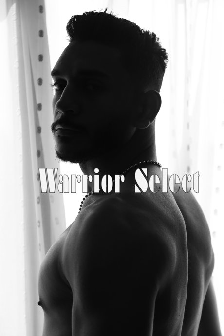 Warrior Select model art pic