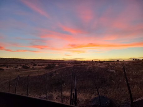 Sugar Cookie perfect star pic