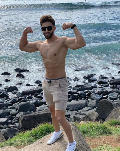 Turkish Delight star high quality photo