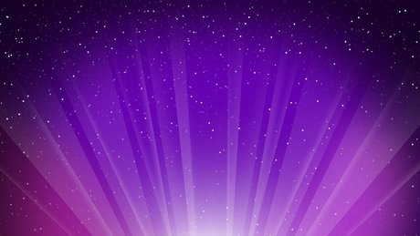 Trinety Guess best model images