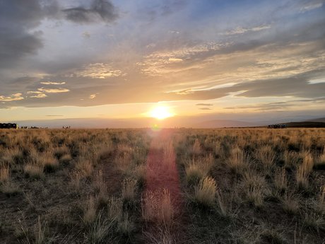 Fusionho nude actress photos