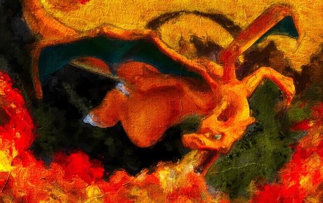 Ozzie high quality actress images