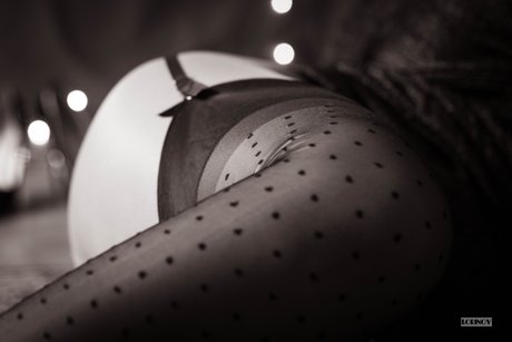 Nylon Bunny adult star archive