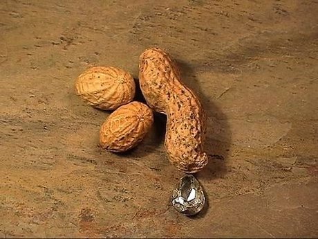 Ashtyn s Playground_ erotic pornstar images