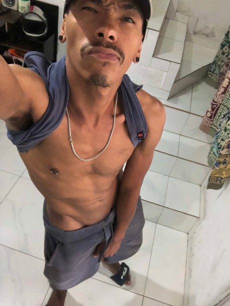 Dan oficial nice star galleries