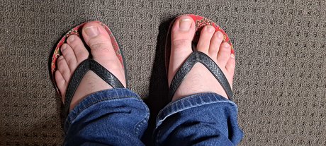 K s Sole star adult gallery