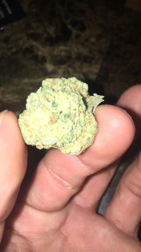 Chief E star sex archive