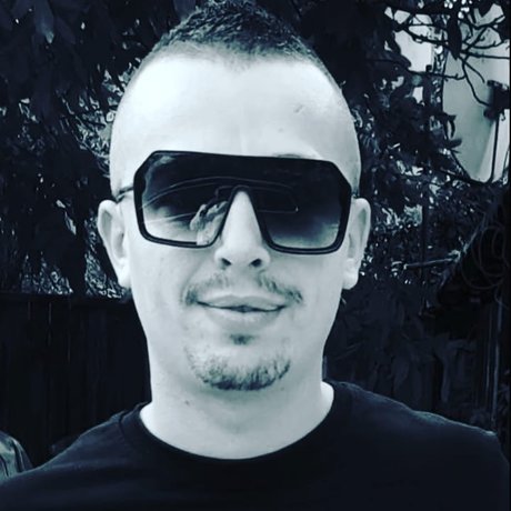 Silviu Zota pornstar perfect image