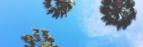 Peter Steal pornstar sexy pictures