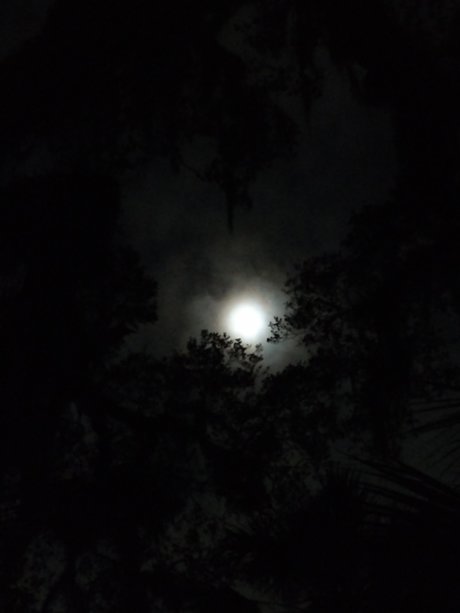 Skolomend pornstar hot pics