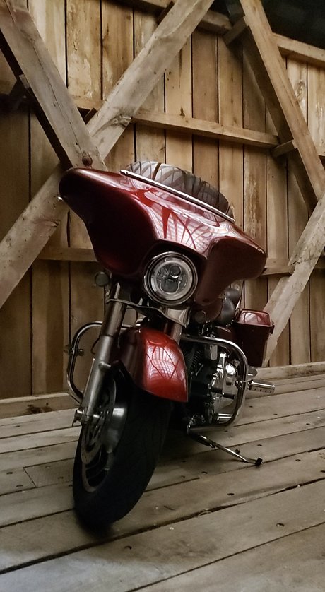 Olivia Cheesecake star pretty pictures