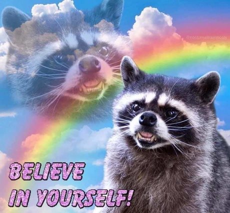 Ya boi nice star img