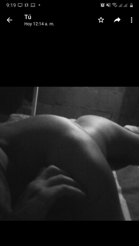 Latin Roomer pornstar pretty pictures