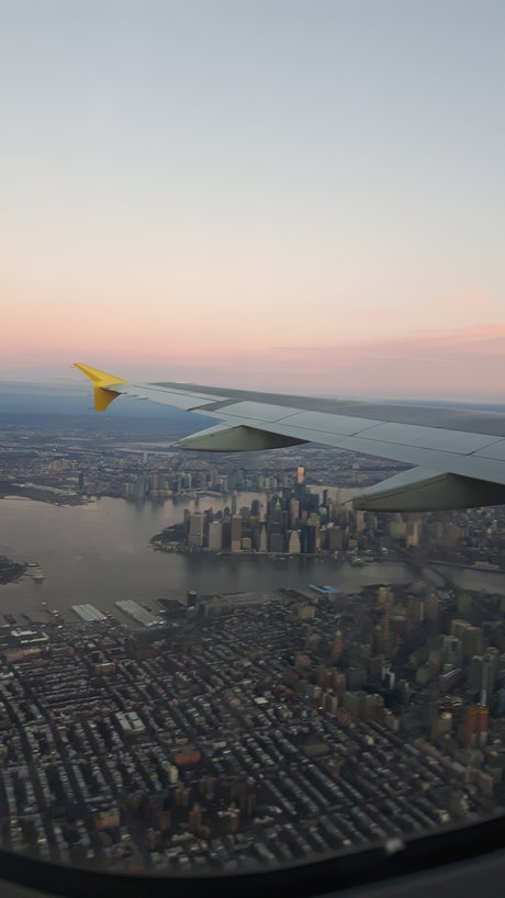 Otter Pup exclusive star gallery