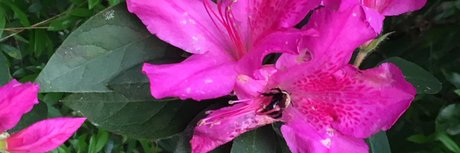 u16670064 beautiful star images