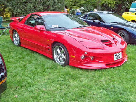 Waldo pornstar art img