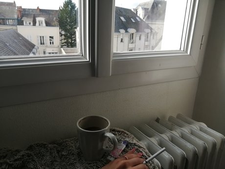 Sonia Andreea star free images