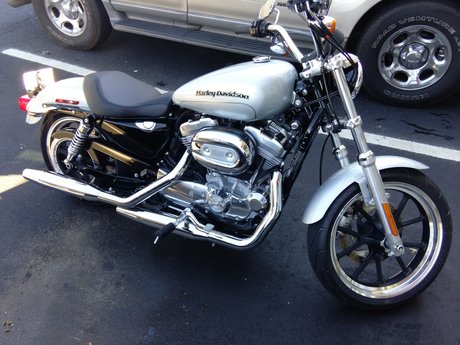 Robbie S_ sex actress image