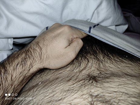 furrybear pornstar art photo