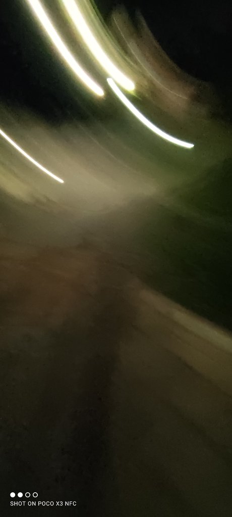 furrybear sex actress archive