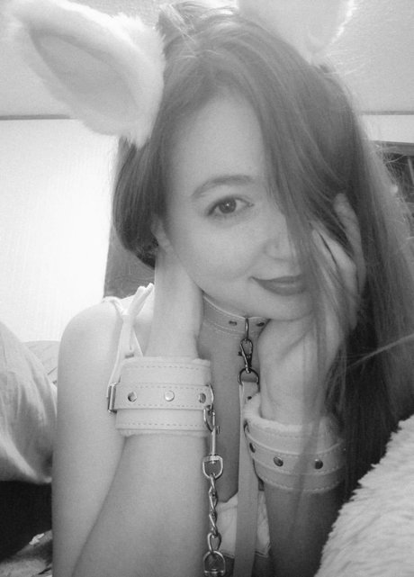 MeowShy star nice galleries