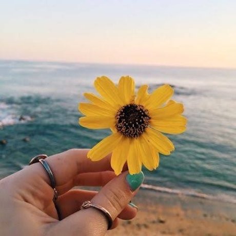 Karen lima star top photos