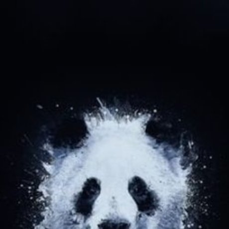 Happy Mod star exclusive images