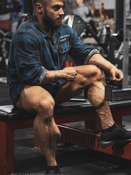 King Calves_ sex pornstar archive