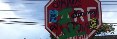 Everton Luis erotic actress photos