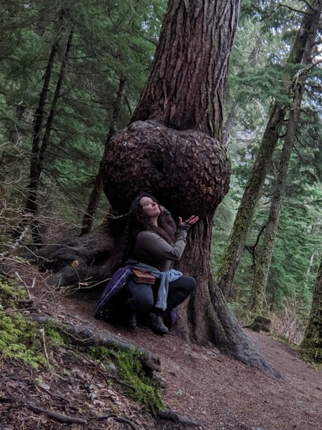 Two Wheeled Hobbit star free archive