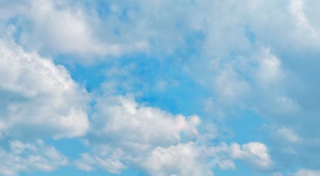 Oliv adult star pics