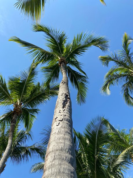 brunette teen onlyfans nice photos