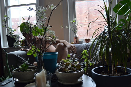 brucedickhamster19 naked pornstar galleries