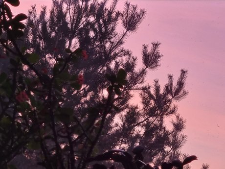 Najwi kszy Fan model top photo