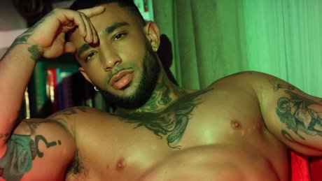 Zed LEROI free star galleries