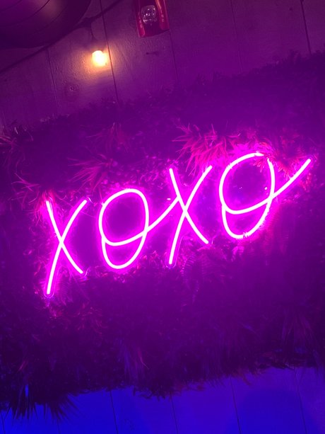 Sorrel_ hot star archive