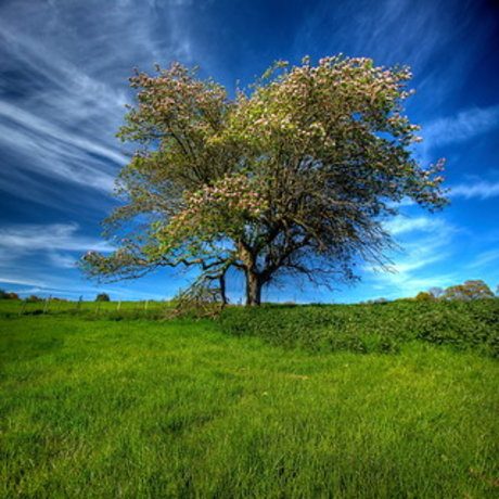 Lucifer amp amp Eve porn model pictures