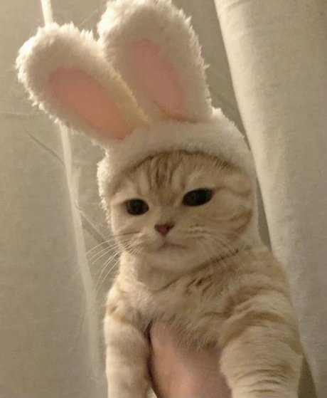 nuriadelavega model pic