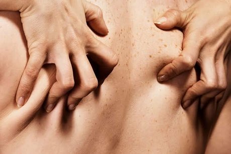 Biel model hot images