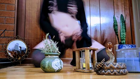 Fae Amore porn star images