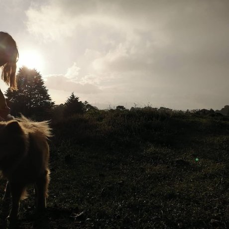 Fabi Sanchez pornstar xxx images