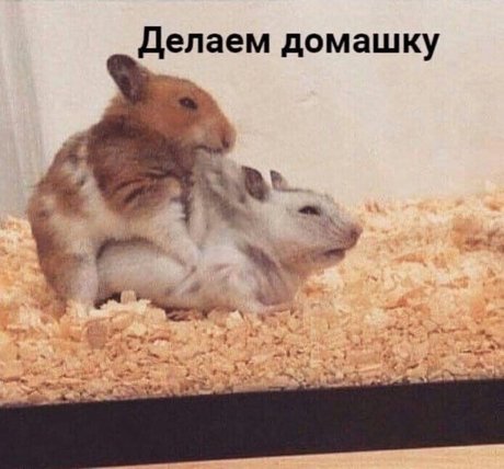 Onostasisa perfect actress image