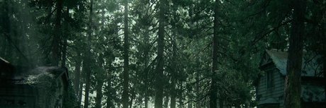 F bio Nokis star art pic