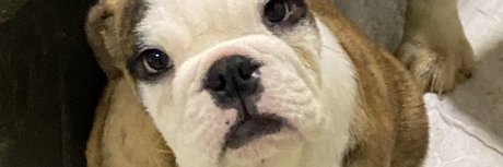 Paulo Teixeira sexy model gallery