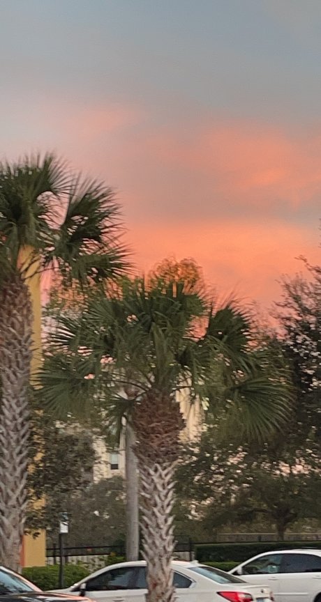 Mandi Yates star porn pics