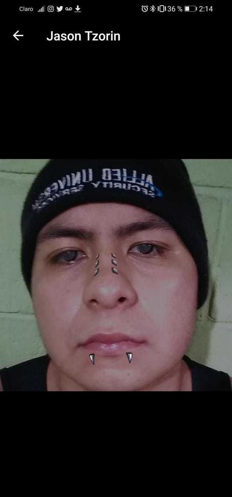 Black Bull model adult archive